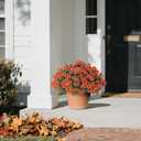 2 x 8 Bundles 17" Artificial Flowers for Outdoor Fall Decoration,Fake Silk Daisy Bouquet Faux Plants UV Resistant for Front Door Planter Outside Home Garden Yard Porch Thanksgiving Autumn Decor (Orange)