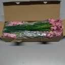 AmyHomie 20 Bundles Artificial Flowers for Outdoor Outside Spring Summer Decoration UV Resistant Faux Flowers No Fade Fake Plastic Plants Garden Porch Window Box Decorating (Pink)