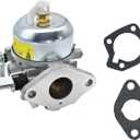146-0455 Carburetor, Compatible with Onan Cummins Carb Generator with Gaskets BGD BGE BGM Replace 146-0466 141-0918 141-0926