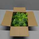 RECUTMS 4Pcs Artificial Monstera Leaves Vines, 5.9FT Fake Hanging Plant Ivy Faux Tropical Palm Leaf Greenery Garland for Garden Porch Patio Jungle Luau Beach Birthday Party Indoor Outdoor Spring Dcor