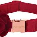 ARING PET Velvet Dog Collars, Christmas Red Soft Pet Collar with Detachable Felt Flower Metal Buckle for Puppy Small Medium Large Boy Girl Dogs-S (Small (Pack of 1))