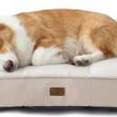 Bedsure Orthopedic Dog Bed Medium Size Dog - Extra Thick Supportive Medium Dogs Beds with Waterproof Washable Cover, Comfort Pet Bed Sofa with Soft Plush Sherpa and Nonskid Bottom, Beige, 35" (Cream)