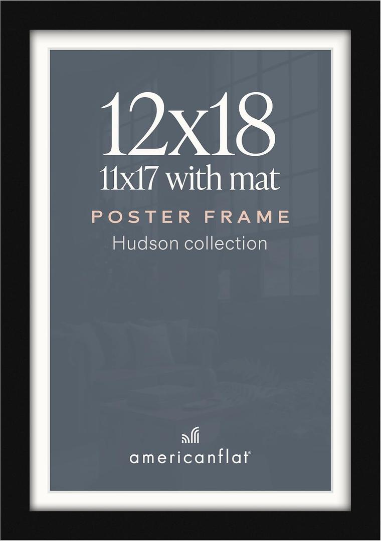 Americanflat 12x18 Poster Frame - Matted to 11x17 - Black