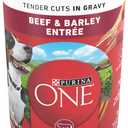 Purina ONE Natural Wet Dog Food Gravy, Tender Cuts in Gravy Beef and Barley Entre - 13 Ounce (Pack of 12)