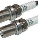 Briggs & Stratton 491055S - 2 Pack