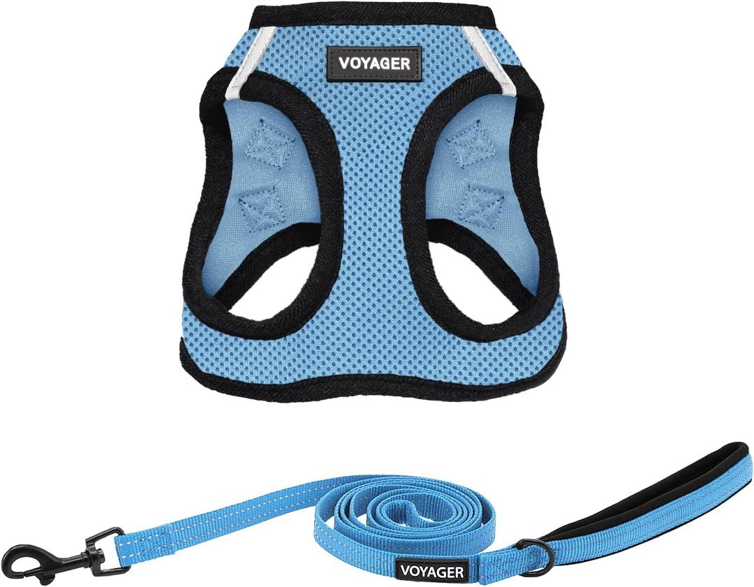 Best Pet Supplies Voyager Step-in Air All Weather Mesh Harness and Reflective Dog 5ft Leash Combo with Neoprene Handle, for Different Breed Puppies - Set (Baby Blue/Black Trim), X-Small