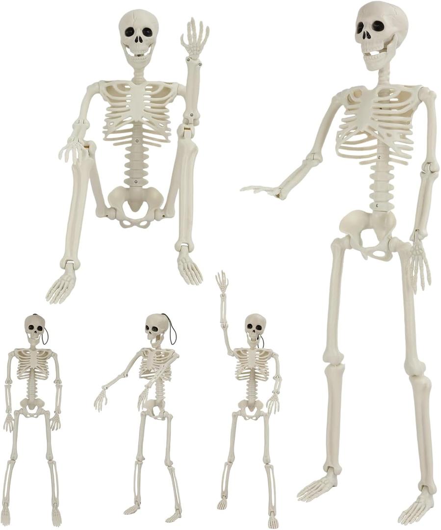 5 Pack Halloween Skeleton Decorations, 2 Pack 36" Full Body Joints Posable Skeleton with 3 Pack 16" Small Skeleton, Creepy Halloween Plastic Skeleton Decor for Haunted Houses Props, Garden, Graveyard