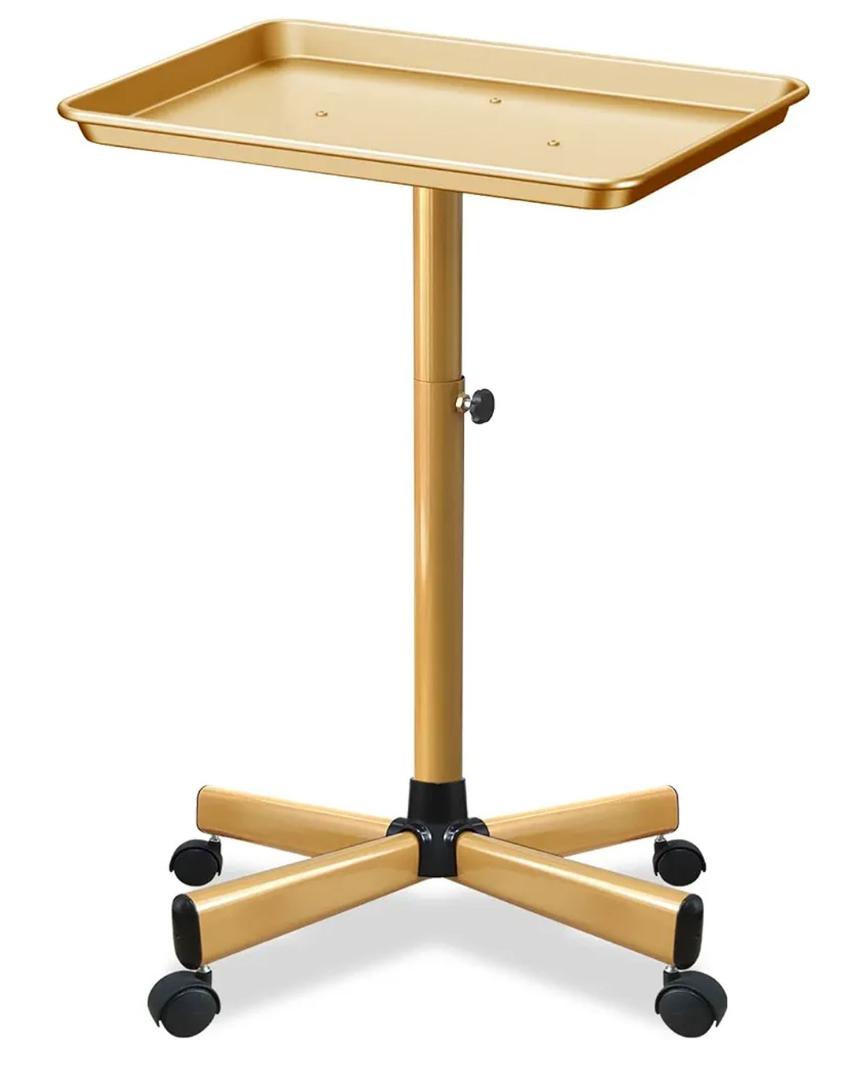 Retain Time Premium Aluminum Salon Tray, Sturdy Corrosion-Resistant Adjustable Tray is Used for Salon Tray on Wheels, Salon Tool/Color Tray, Beauty Spa Tray, Dentist Tray, Etc.…(Gold)