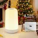 FRIDEKO HOME RGB Touch Bedside Lamp for Nightstand, 3 Color Temperatures Rechargeable Battery Night Light, Dimmable Mood Lighting for Bedroom Living Room Nursery, Breastfeeding, Kids, Adult (EXP 02/04/26)