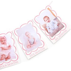 Pink 1 To 12 Months Photo Banner - Girls Sweet One Birthday Decorations,Scallop Shaped Monthly Photo Banner,Newborn First Year Milestone Photo Display,Little Princess 1st Birthday Hanging Banner