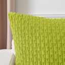 Kevin Textile Decorative Pillow Covers Set of 2 Striped Plush Corduroy Pillows Pillowcases Boho Home Decor Cushion Covers for Couch Sofa Bed Living Room 26x26 Inch, Spring Green