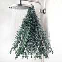 DomeStar 16PCS Real Dried Eucalyptus for Shower, 16"-17" Natural Eucalyptus Stems Hanging Shower Plant Stress Relax and DIY Greenery for Bathroom Home Decor