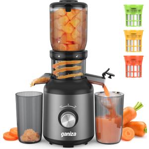 Ganiza Juicer Machines, Cold Press Juicer with Large Feed Chute for Whole Fruits & Vegetables, Slow Masticating juicers with 3 Replace Filters for Batch Juicing, Easy to Clean, BPA Free (Black)