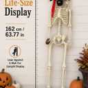 HOMELEX 5.4 Ft Halloween Skeleton Decoration, Life Size Pirate Skeleton