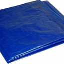 Dry Top 11012 Medium Duty Tarp, 10x12 Feet, Blue