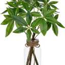 Faux Greenery Stems in Vase Aritificial Money Tree Plant in Glass Vase with Faux Water & Stones 14.2" Small Potted Plants Arrangement Centerpieces for Farmhouse Kitchen Dinner Tables Greenery Decor