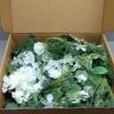 Ling's moment Wedding Arch Flowers with Drapes Kit-Pack of 5, 2pcs Flower Arrangements 3pcs Sheer Hanging Drapes White Ceremony Arbor Backdrop Artificial Rose Floral Decorations, White Green
