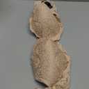 Smart & Sexy Womens Signature Lace Push Up Bra - Perfect for Seeking Effortless Style and Comfort (40C, In the Buff)