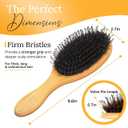 Belula Boar Bristle Hair Brush - Hair Brushes for Women & Mens Hair Brush, Detangler Brush, Hairbrush, Detangling Brush for Long, Curly or Any Type of Hair.