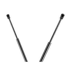 Gas Struts