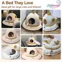Cat Bed for Indoor Cats - 2 in 1 Large Cat Bed Cave Hideaway with Removable Washable Cushioned Pillow, UFO Cozy Pet Bed for Cats, Kittens & Multi-Cat Families (Up to 25 Lbs)