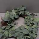 HD 24IN EUCALYPTUS WREATH