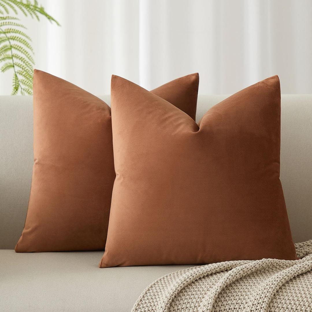 Juspurbert Set of 2 Super Soft Velvet Decorative Throw Pillow Covers 24x24 inch Square with Fringe Luxury Style Cushion Case European Pillow Shell for Sofa Bedroom, Mocha Mousse