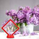 Eco-Fused 3D Transparent Floating Frame - Set of 5 - Suspension Display Case for Collectibles, Memorabilia, Decorations - Holders for Coins, Jewellery, Medals, Gemstones (Multicolored) (5 pack - Multicolors (Black, Red, White), Mulicolor)