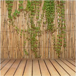 Forever Bamboo Jumbo Reed Bamboo Screen Fencing Privacy Fence Backyard Divider Decorative Reed Garden Fencing Natural Finish 6 ft H x 16 ft L, (20-BR6) (Tan)