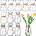 Lallisa 12 Pieces Small Glass Bud Vases for Wedding Centerpieces Clear Mini Hyacinth Bulk Flower Vases with Rope Plant Containers for Wedding Plant Home Table Decorations(Classic Style)