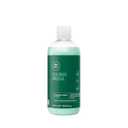 Tea Tree Special Shampoo, Deep Cleans, Refreshes Scalp, For All Hair Types, Especially Oily Hair (16.9 Fl Oz (Pack of 1))