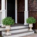 Set of 2 Artificial Boxwood Topiary Trees for Front Door - Faux Realistic Greenery Potted Plants, Fake Outdoor UV-Resistant Bushes with Pots for Porch,Farmhouse,Home,Garden Decor