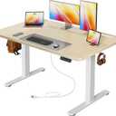 47 X 24 Inch Electric Standing Desk with Power Outlets and USB-C Port, Height Adjustable Desk, Sit Stand Desk for Home Office, Computer & Gaming Desk with 3 Presets, Stable Steel Frame, Marple
