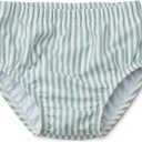 Toddler Boys & Girls Swim Diapers Washable Reusable Swimming Diapers BPA Free Swimmers SPF Seersucker Swim Pants 2-3T (Baby Bule/White)