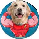 BEAUTYZOO Dog Cone Collar After Surgery for Large Medium Dogs, Soft Dog Cone Alternative to Stop Licking, Comfortable Inflatable Recovery Cones, Dogs Neck Donut Not Block Vision E-Collar, Blue L