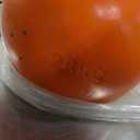 Kettlebell Kings Competition Kettlebells Weight (35mm handle) 8-48 KG | Hand weights Workout Gym Equipment & Strength training sets for Women & Men for Home Gym | Suitable for High Repetition Workouts (66 LB (30 KG))