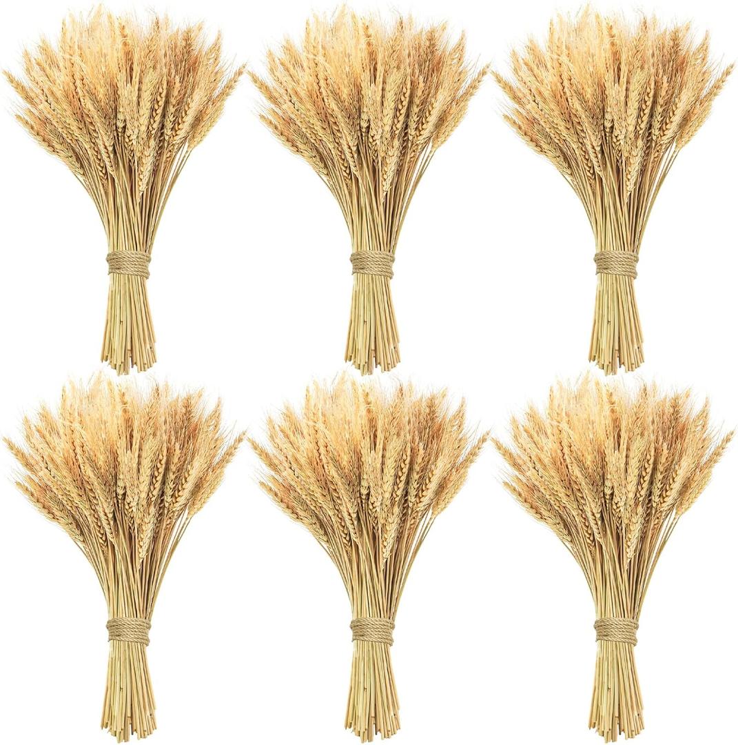 600 Stems Natural Dried Wheat Stalks, 18 inches Dried Wheat Grass Bundle Wheat Sheaves Wreath for Flowers Arrangement Wedding Table Centerpieces Home Kitchen Office DIY Party Dcor