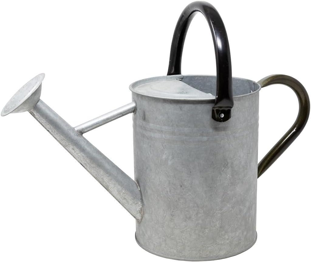 Plexon Watering Can, with a Vintage Distressed Galvanized Steel with a Powder Coating, 1 Gallon
