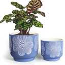 YBX 8 Inch + 6 Inch White Flower Pattern Plant Pots, Sand Glazed Ceramic Planter with Drainage Hole, Flower Pots for Indoor Plants, Blue