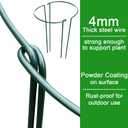 HiGift 8 Pack Plant Support Stakes, Half Round Metal Garden Plant Stake Indoor Peony Cages and Supports, Green Plant Support Ring Border for Tomato, Hydrangea, Flower Outdoor (10" Wide x 15.8" High)