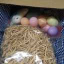 Easter Basket with Grass, 12 Plastic Eggs and Bunny Charm, Medium Oval Wicker Picnic Gift Basket with Lined Interior for Kids Egg Hunt, Candy, Toys, Spring Decor and Table Centerpieces, Blue Gingham
