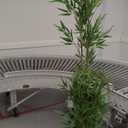 Nearly Natural 8ft. Artificial Green Bamboo Tree