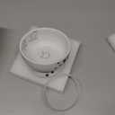 Necoichi Raised Cat Water Bowl, Elevated, with Measurement Lines, Dishwasher and Microwave Safe, No.1 Seller in Japan! (Cat, Regular)