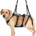 Lafoty Dog Lift Harness for Large Male Dogs, 2in1, Back Leg Support & Mobility Assistance for Senior Dogs, PostSurgery Recovery Sling(Black, Large)