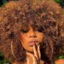 Afro Wig 14Inch Afro Wigs for Black Women 70s Mixed Brown Afro Kinky Curly Wig Bouncy Huge Fluffy Puff Wigs Synthetic Hair for Cosplay Daily and Party (Mixed Brown)
