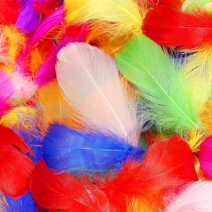 THARAHT 360pcs Colorful White Goose Feathers 3-5 inch Bulk for Crafting Dream Catcher Accessories Art Projects DIY Handmade Wedding Home Party Decorations Natural Feather