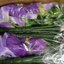 Geegoods Artificial Petunia Flowers for Outdoors, 8 Bundles UV Resistant Realistic Silk Faux Flowers, Purple White Fake Petunias for Planters, Hanging Basket, Porch and Garden Decor(8,Purple White)