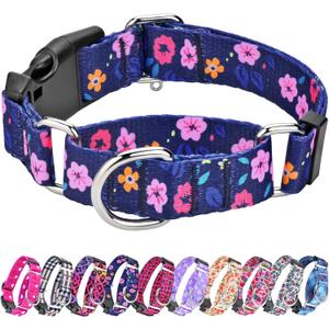 Martingale Collar for Dogs, Adjustable Soft Nylon Dog Collars with Special Design Cute Patterns for Small Medium Large Dog (Blue Flower)