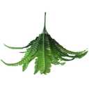 Generic Artificial Persian Leaves, 2Pcs 18 Heads Plastic Greenery Bushes for Home Garden Office Decor, with Simulation Shrubs for Wedding Party Room Wall Decoration