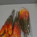 20 Bundles Artificial Plants Outdoor Fake Monkey Grass with Flowers (Fall Red)